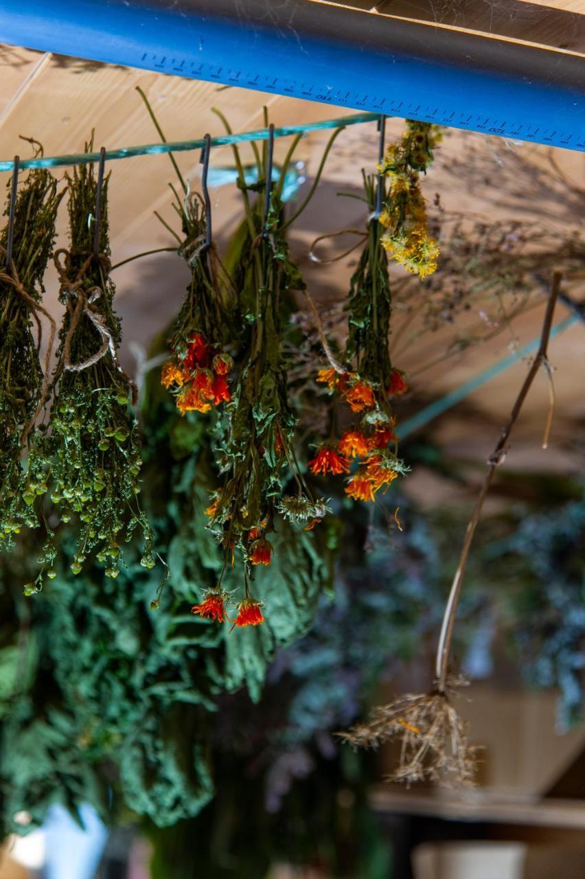 Heimat - Das Natur Resort Prägraten 외부 사진